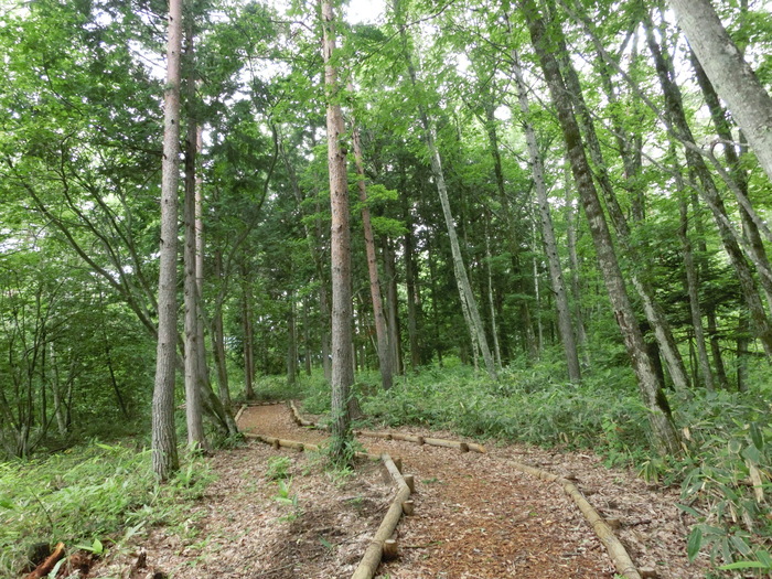 c0140260_2118335.jpg