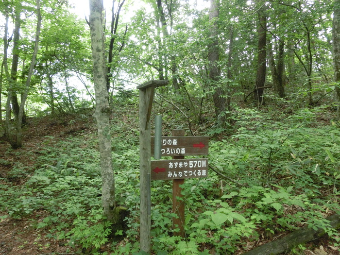 c0140260_21185545.jpg