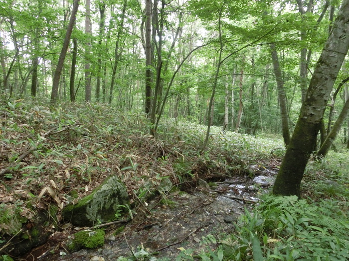 c0140260_21201478.jpg