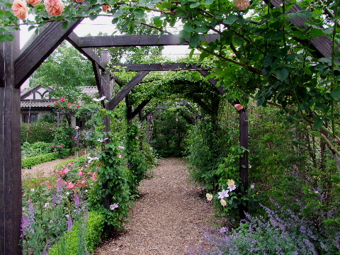 e0088260_21513977.jpg
