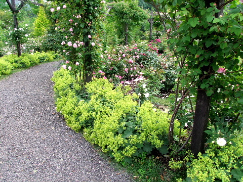 e0088260_21515046.jpg