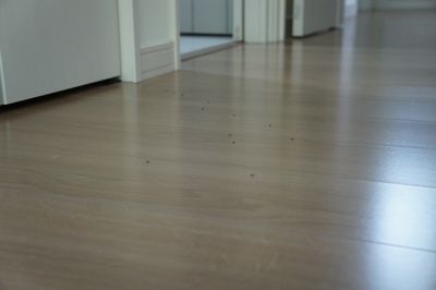 c0139765_0281487.jpg