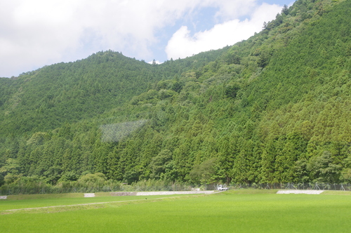 f0054677_8134181.jpg