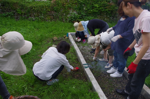f0054677_8251070.jpg