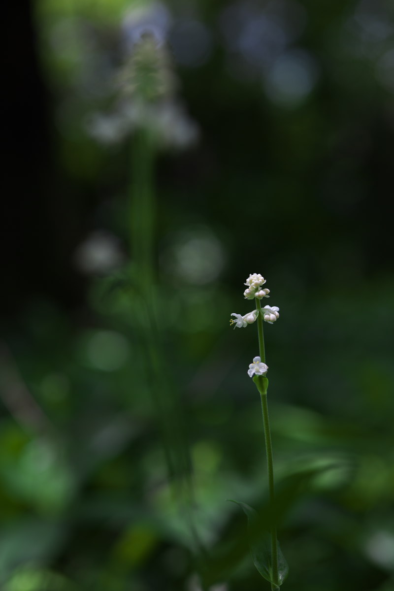 a0083081_21311989.jpg