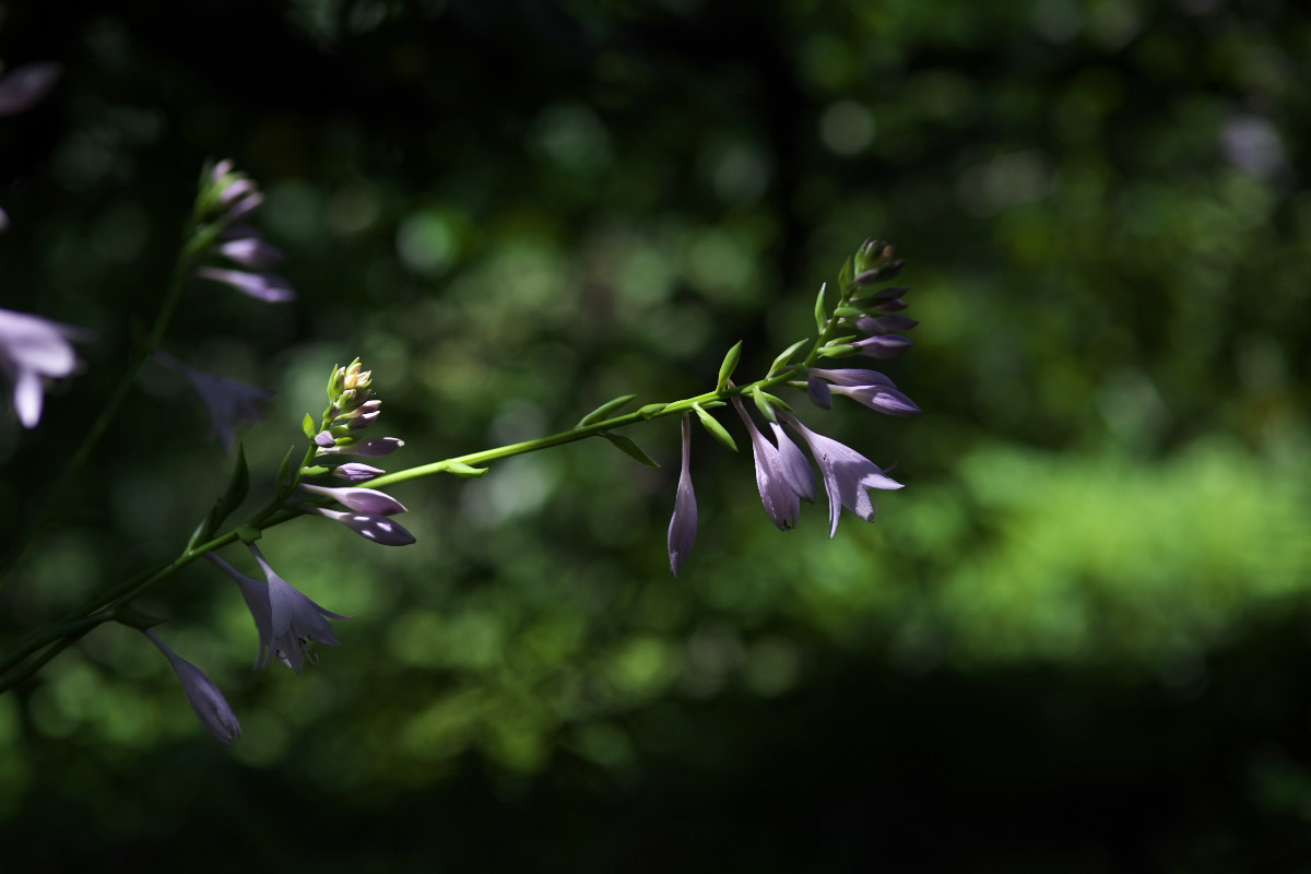 a0083081_2133278.jpg