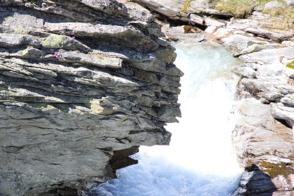 e0024081_5593693.jpg