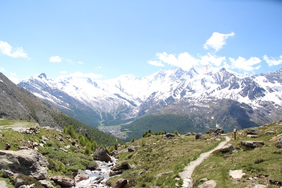 e0024081_621163.jpg