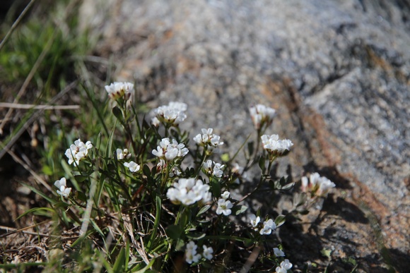 e0024081_6281443.jpg