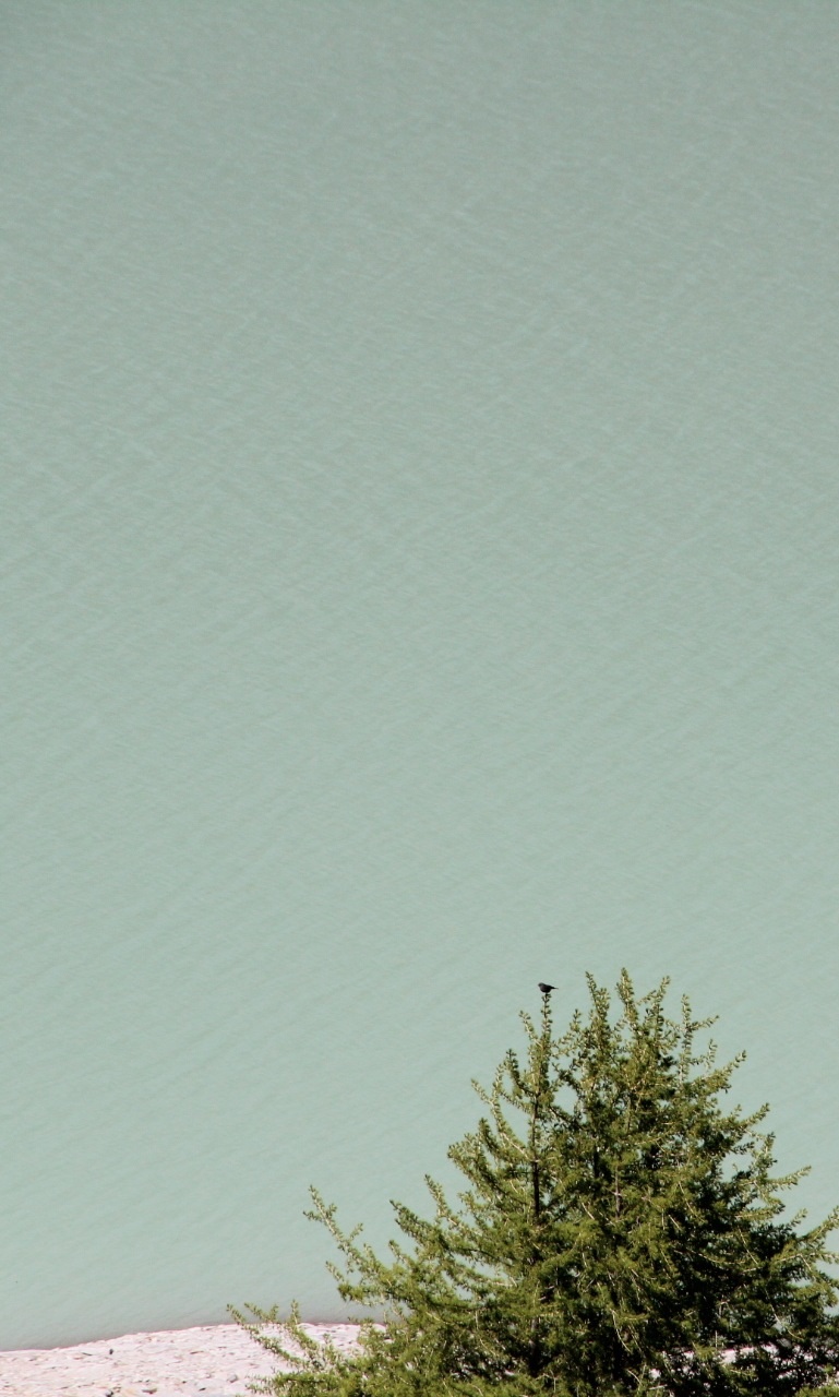 e0024081_6415124.jpg