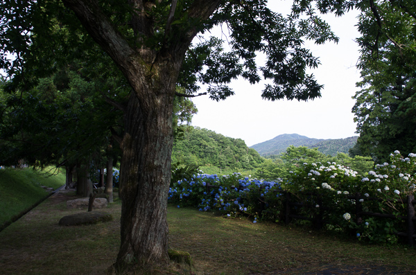 a0053783_19494347.jpg