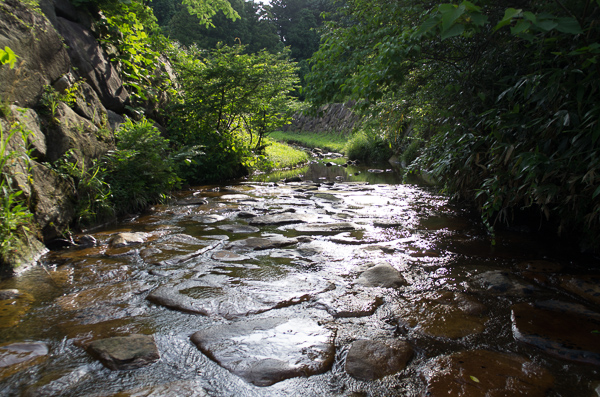 a0053783_20325834.jpg