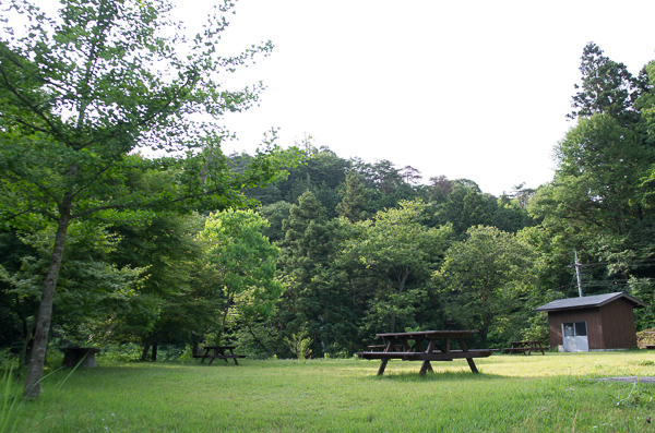 a0053783_2033307.jpg