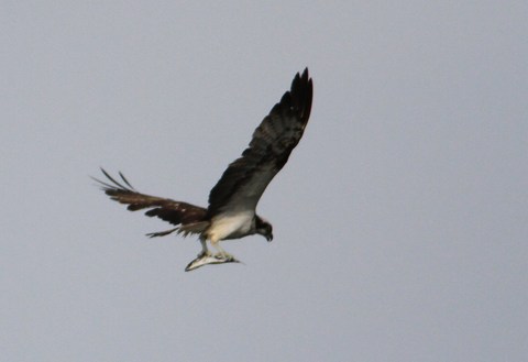 e0197884_20162259.jpg