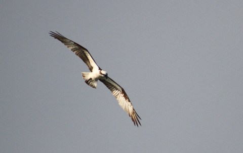 e0197884_2016329.jpg