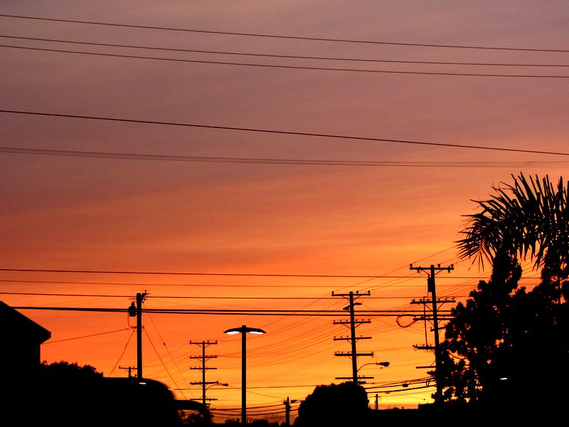 b0202185_1727540.jpg