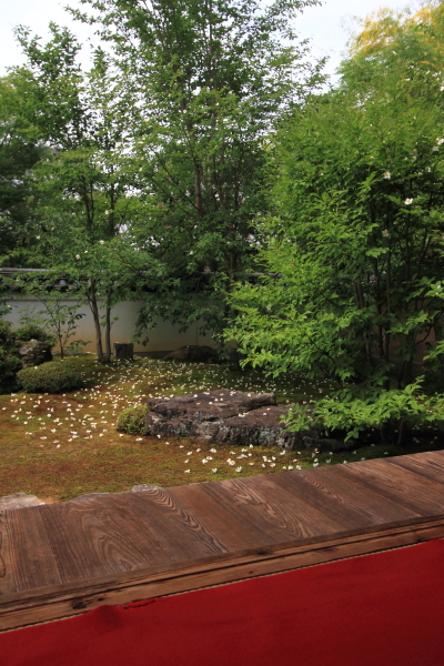 e0051888_23121866.jpg