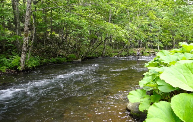 f0141392_23115114.jpg