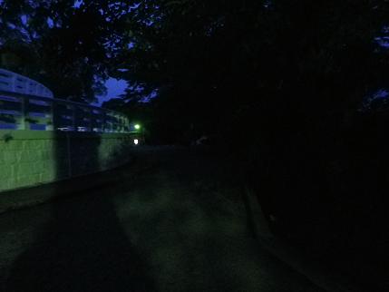 e0048994_9575175.jpg