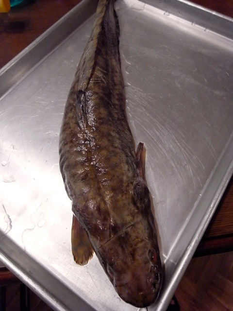 e0250594_3472723.jpg