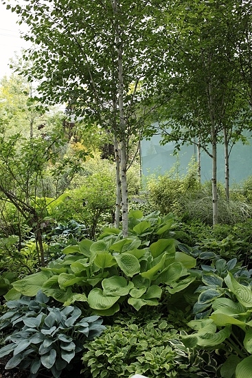e0209997_621593.jpg
