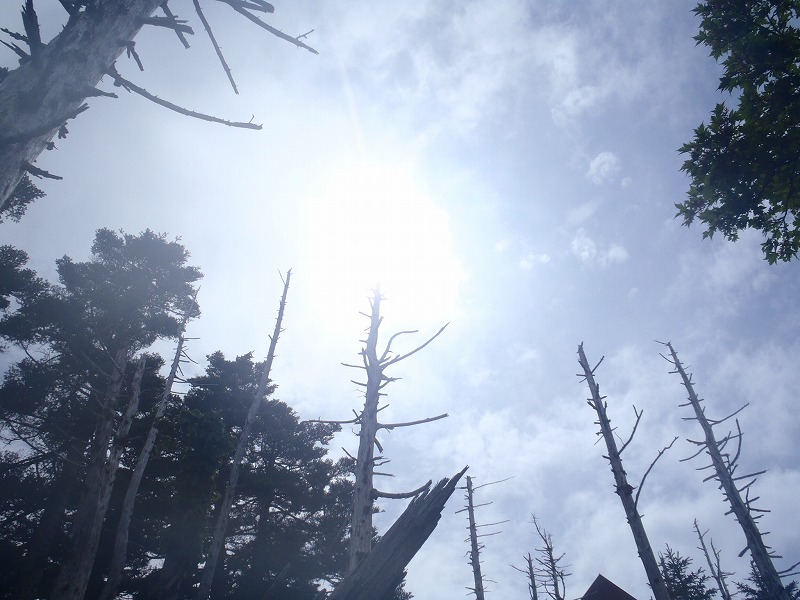 c0147398_10565215.jpg