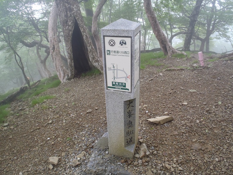 c0147398_10592773.jpg