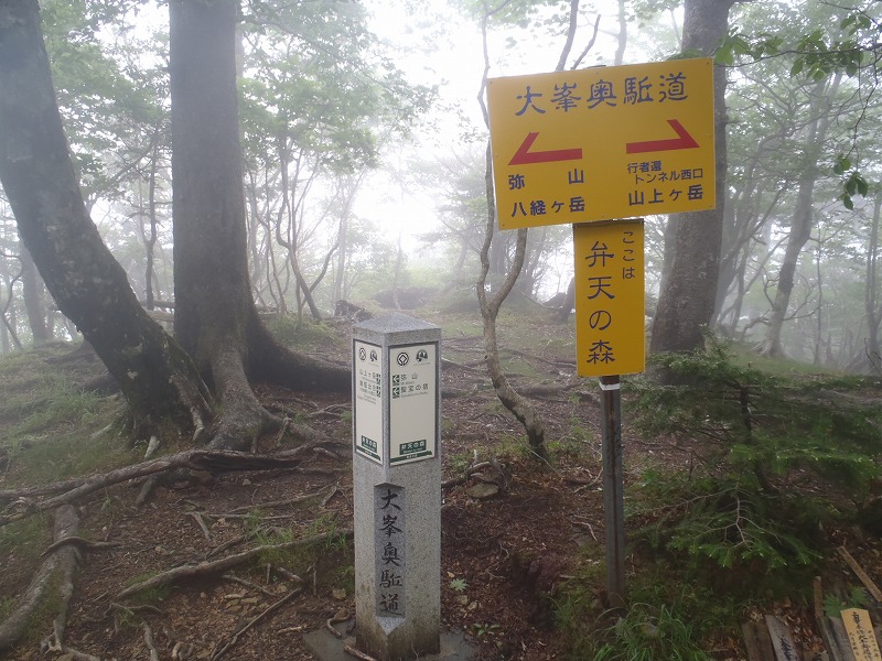 c0147398_10593472.jpg