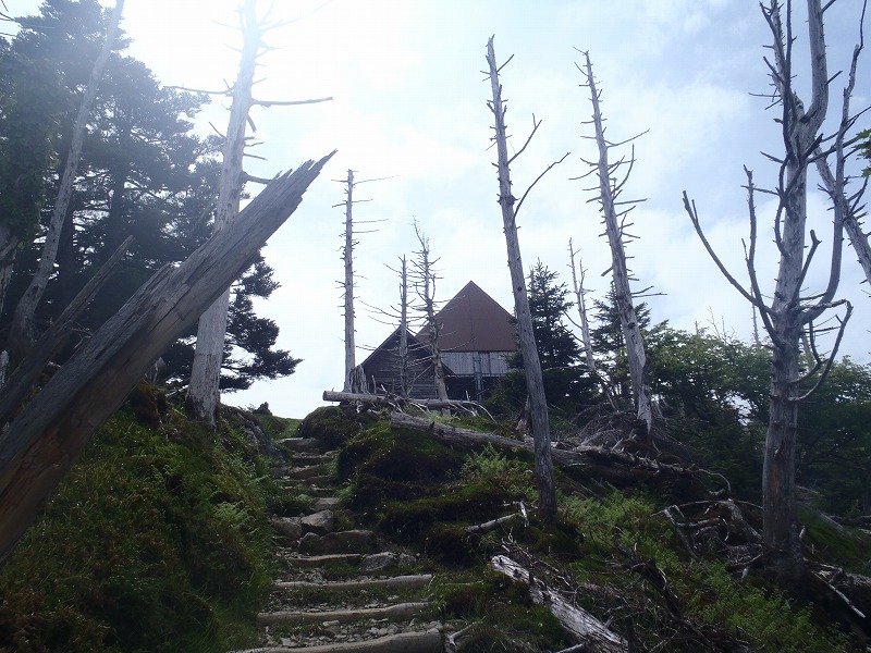 c0147398_1101424.jpg
