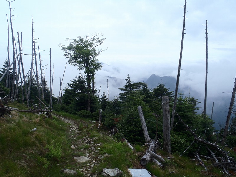 c0147398_111791.jpg
