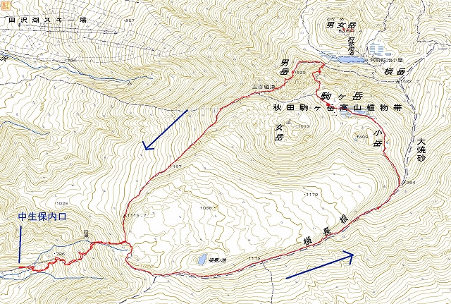 e0137200_20513310.jpg