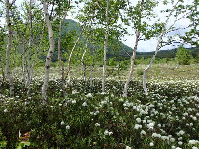 d0257201_21493560.jpg