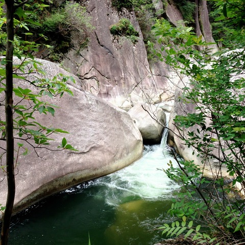 a0180208_06225.jpg