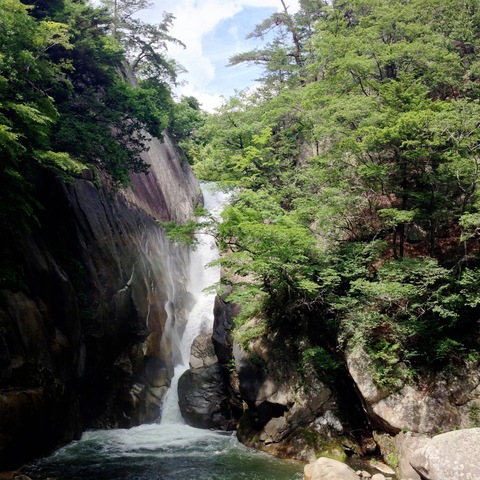 a0180208_2231895.jpg