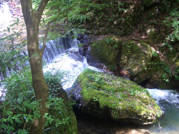 e0033713_9255964.jpg