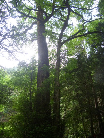 e0033713_9501251.jpg