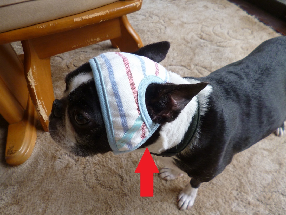 c0280416_2245779.jpg