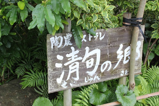 e0101917_9104099.jpg