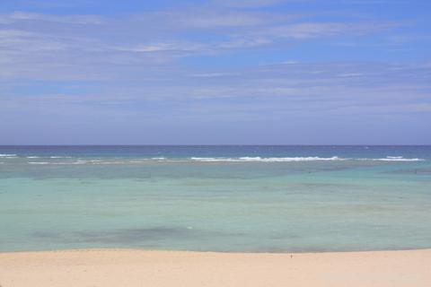 f0162319_1942828.jpg