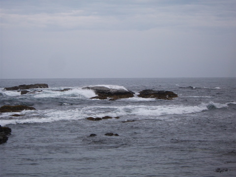 a0279321_1624334.jpg