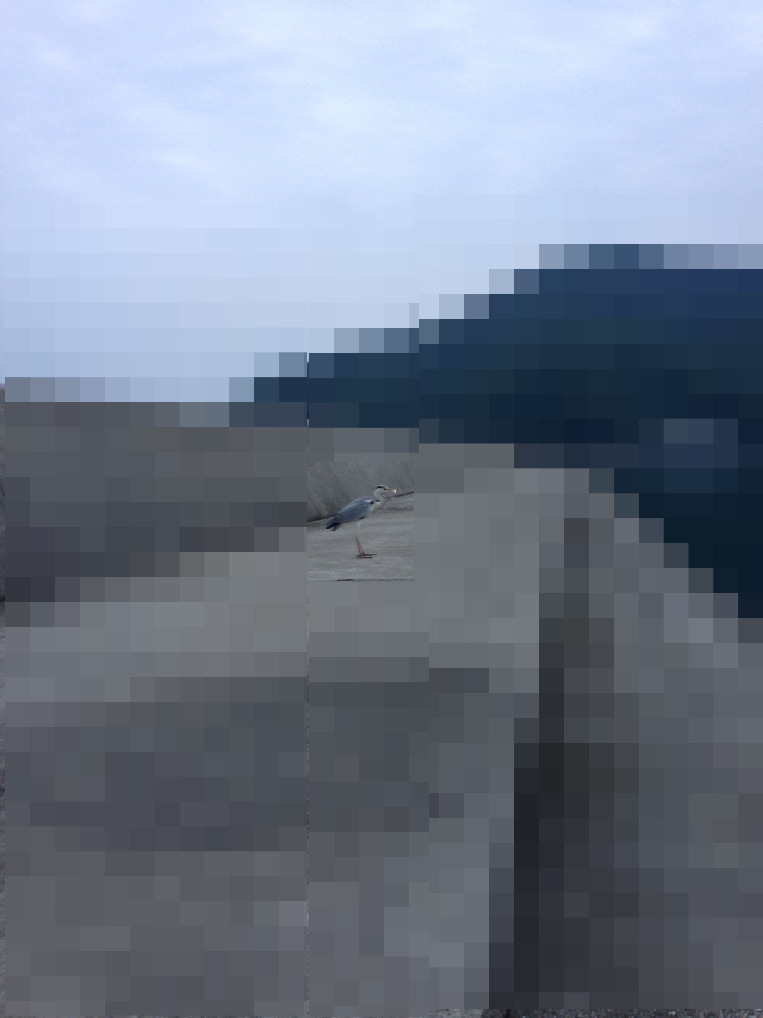 e0184826_0462887.jpg