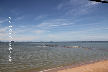 d0042827_232640.jpg