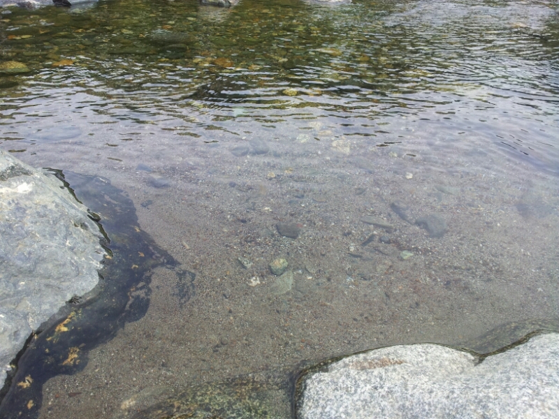a0146431_954455.jpg