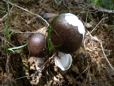 e0272335_18262636.jpg