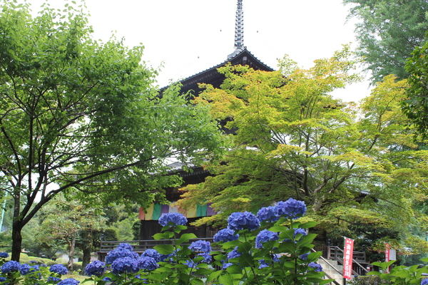f0248635_17331620.jpg