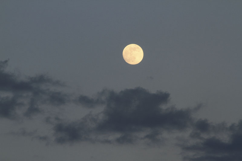 b0042837_2120569.jpg