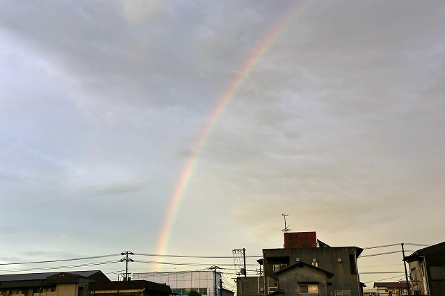 a0242438_20443513.jpg