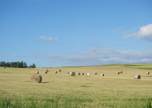 b0178339_16524623.jpg
