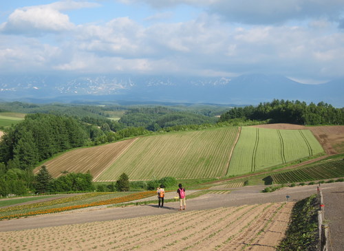 b0178339_16563898.jpg