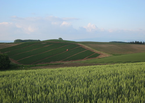 b0178339_1733384.jpg